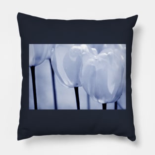 Tulips #2 Pillow