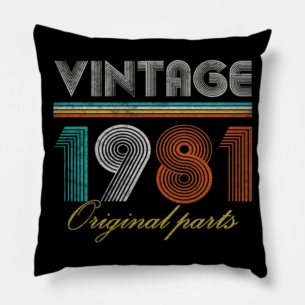 Vintage 1981 Retro 40 Year Old 40th Birthday Gift Men Women Pillow by sufian