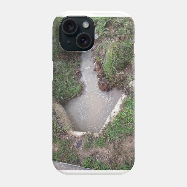 Pointing nature Phone Case by Stephfuccio.com