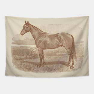 Horse Breed Vintage Illustration Tapestry