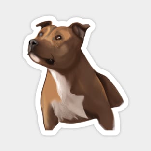 Cute Staffordshire Bull Terrier Drawing Magnet