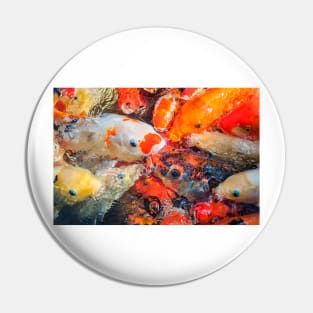 Feeding Frenzy Pin