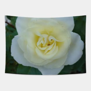 Yellow rose Tapestry