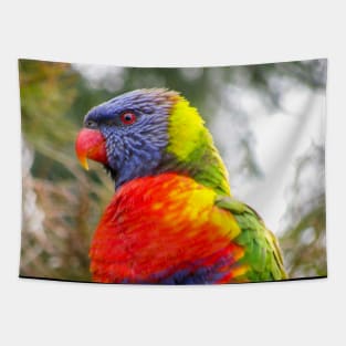 Rainbow Lorikeet Tapestry