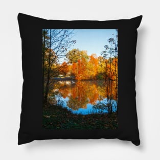 Framed Autumn Pillow