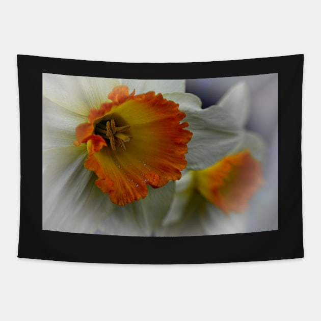 Daffodil Flower Tapestry by MartynUK