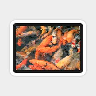 Colored Carps Magnet