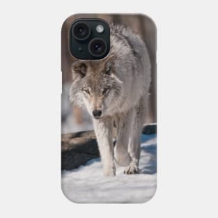 Timber Wolf Pup Phone Case