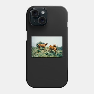 Wild Horses Shot on Porta 400 Film Phone Case