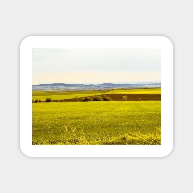 Yellow fields Magnet by bunlinked