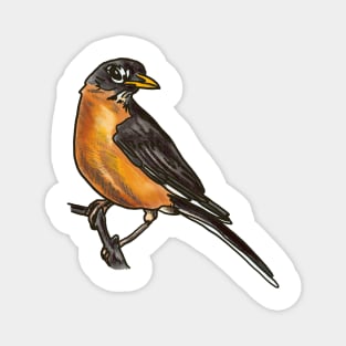 American Robin Magnet