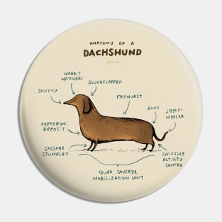 Anatomy of a Dachshund Pin