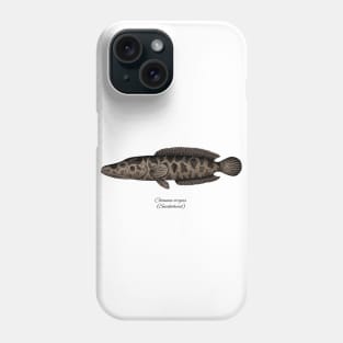 Channa argus Phone Case