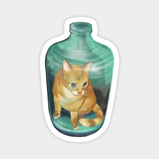 Jug Cat Magnet