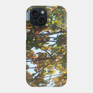 Autumn leaves - 1 Phone Case