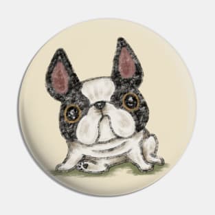 French Bulldog in a funny pose Pin