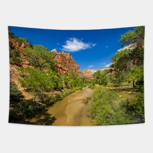 Up the Virgin River, Zion National Park Tapestry