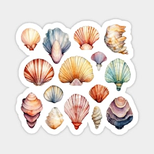 Seashells Colorful Magnet