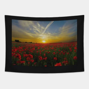 ANZAC Day Field Poppies Tapestry