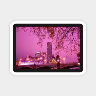 Melbourne City Pretty in Pink II Magnet