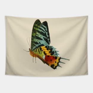 Colorful Butterfly Side view Tapestry