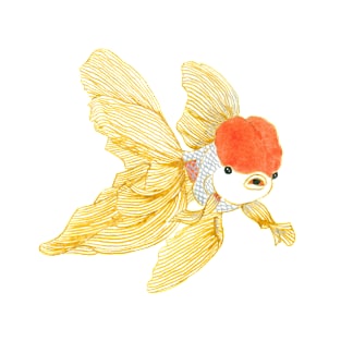 Daily Doodle 15 - Goldfish Tail T-Shirt