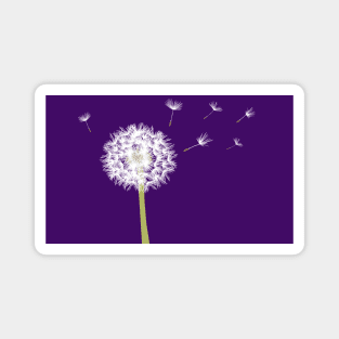 Dandelion on Purple Magnet