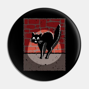 Funny cat in the dark Pin