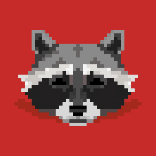 Racoon T-Shirt