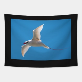 Red-Tailed Tropic Bird, Norfolk Island Tapestry