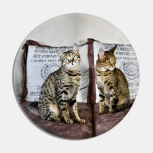 Savannah Cat 3 / Swiss Artwork Photography Pin