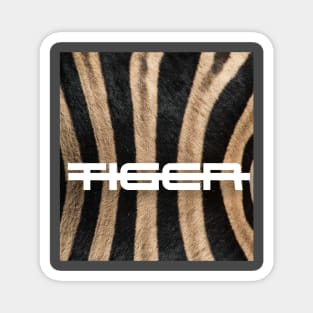 Tiger Skin | Tiger Design Magnet