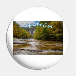 Taughannock Creek Tompkins County New York Pin