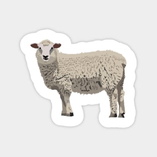 Sheep Magnet