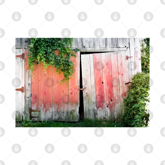 Weathered Barn Doors 1 by Robert Alsop