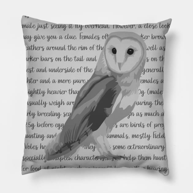Barn Owl Information Pillow by Slightly Unhinged