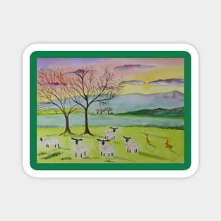 Quirky Sheep at Sunset Magnet