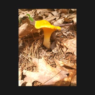 Golden Chanterelle T-Shirt