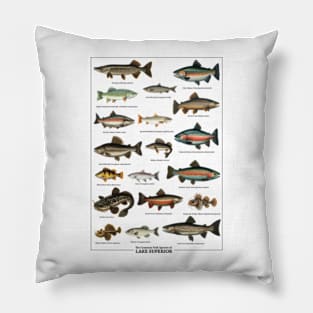 Vintage Lake Superior Fish Species Chart Pillow