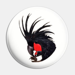 Palm Cockatoo Pin