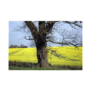 Fields of gold T-Shirt