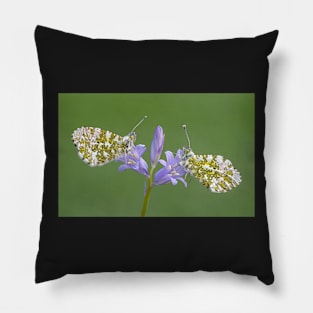 Two Orange Tip Butterflies on a Bluebell Flower Pillow