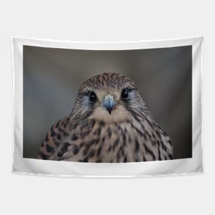 Kestrel Tapestry