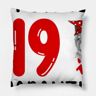 I Turned 49 In Quarantine Funny Cat Facemask Pillow