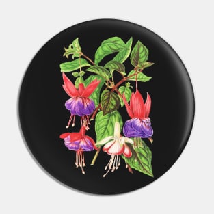 Fuchsia flowers - botanical illustration Pin