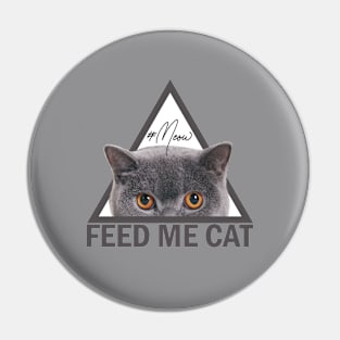 Feed Me Meow Pin