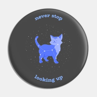 Cat Lover Constellation Pin