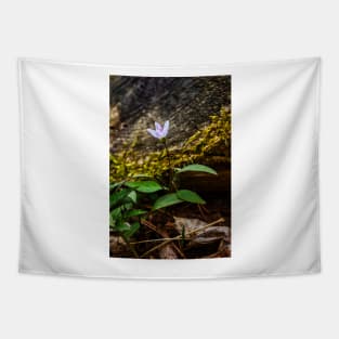 Spring Beauty Flower Tapestry