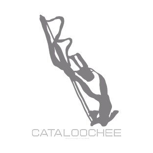 Cataloochee Resort 3D T-Shirt