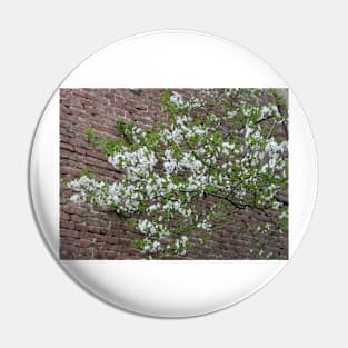 Blossom tree Pin